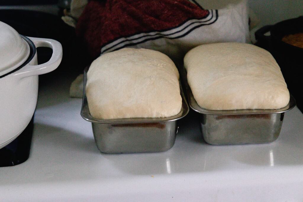 two loaves of sourdough sandwich bread risen and ready for baking
