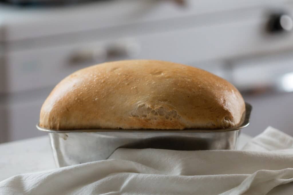 loaf of sourdough bread straight from the oven on a white countertop with a white towel in front