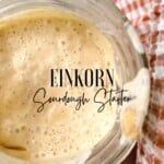 overhead photo of a jar of einkorn sourdough starter next to a red plaid towel