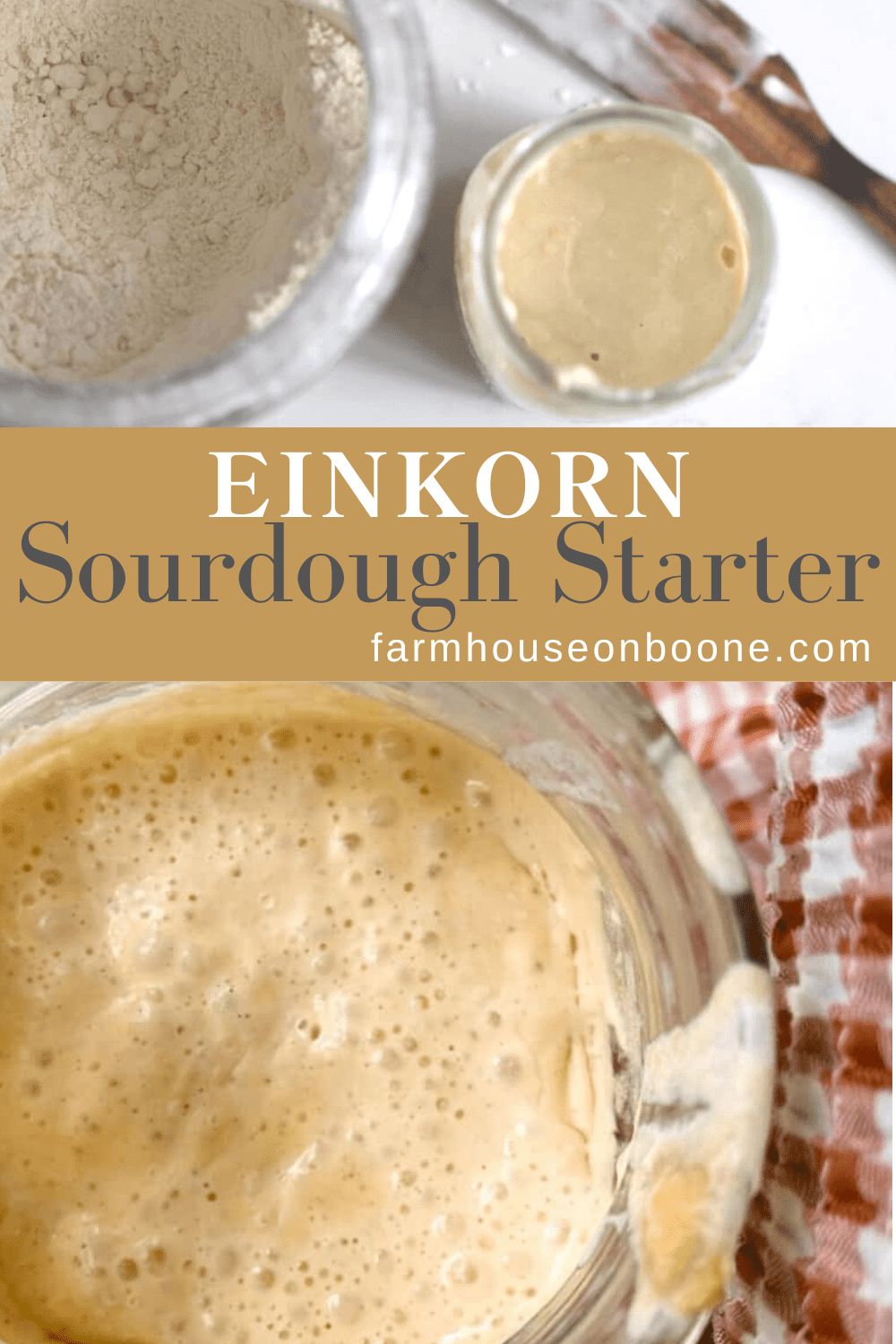 Einkorn Sourdough Starter Farmhouse on Boone
