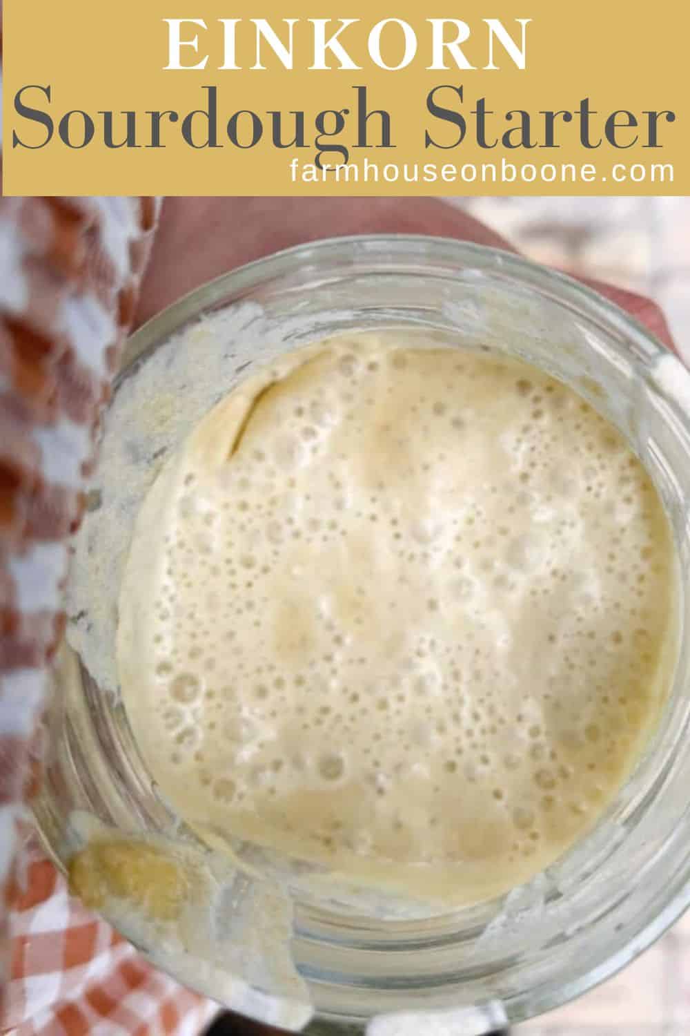 Einkorn Sourdough Starter Farmhouse on Boone