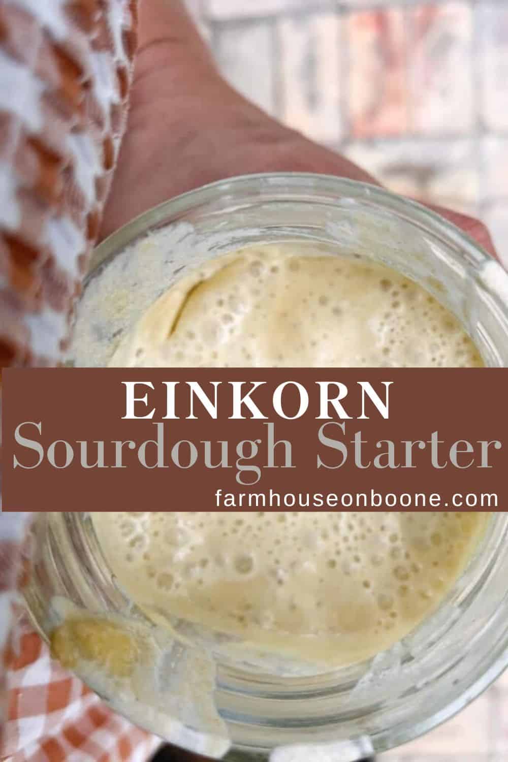 Einkorn Sourdough Starter Farmhouse on Boone