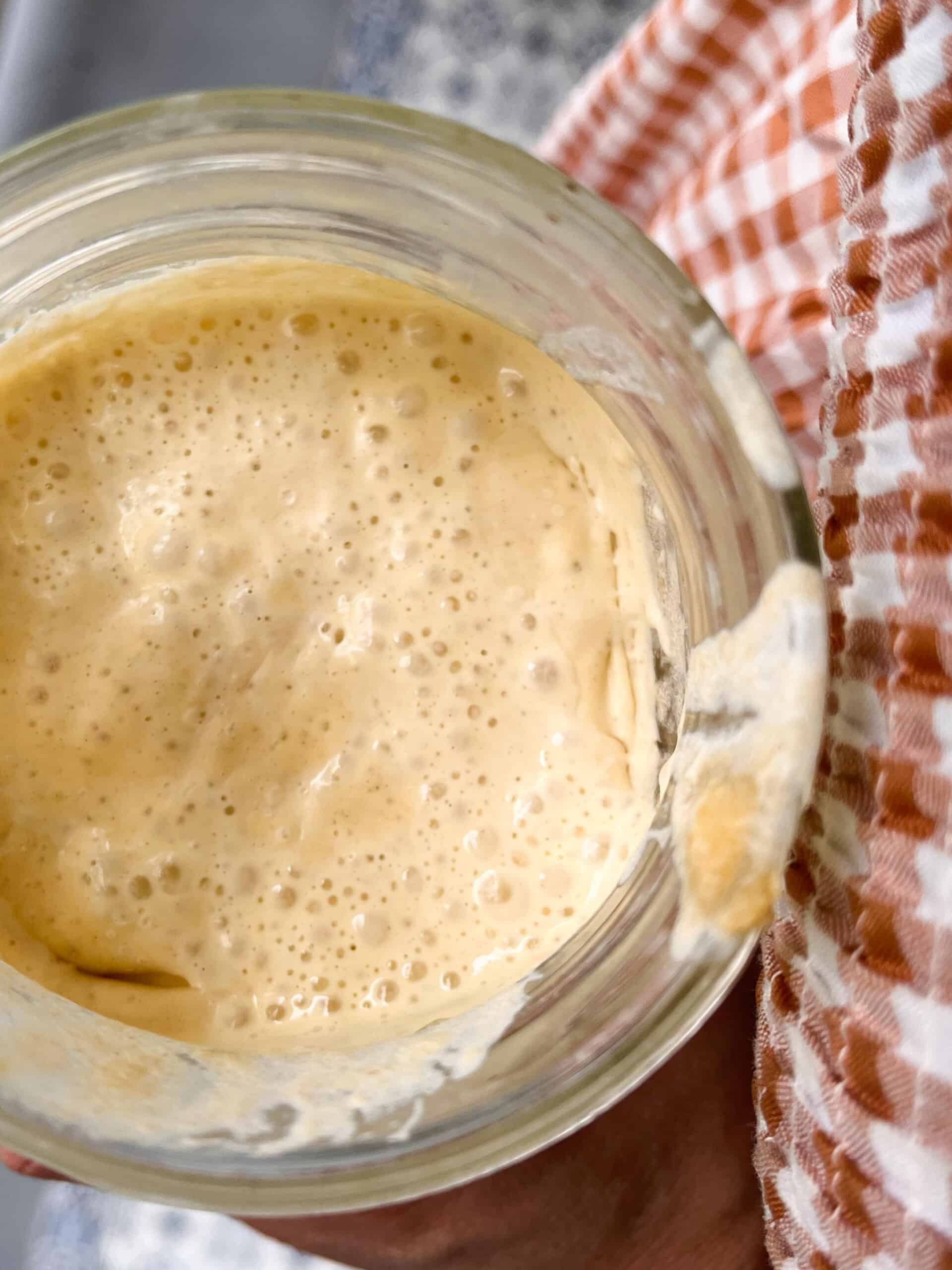 overhead photo of a jar of einkorn sourdough starter next to a red plaid towel