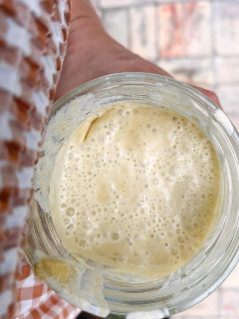 overhead photo of a glass jar with einkorn sourdough starter