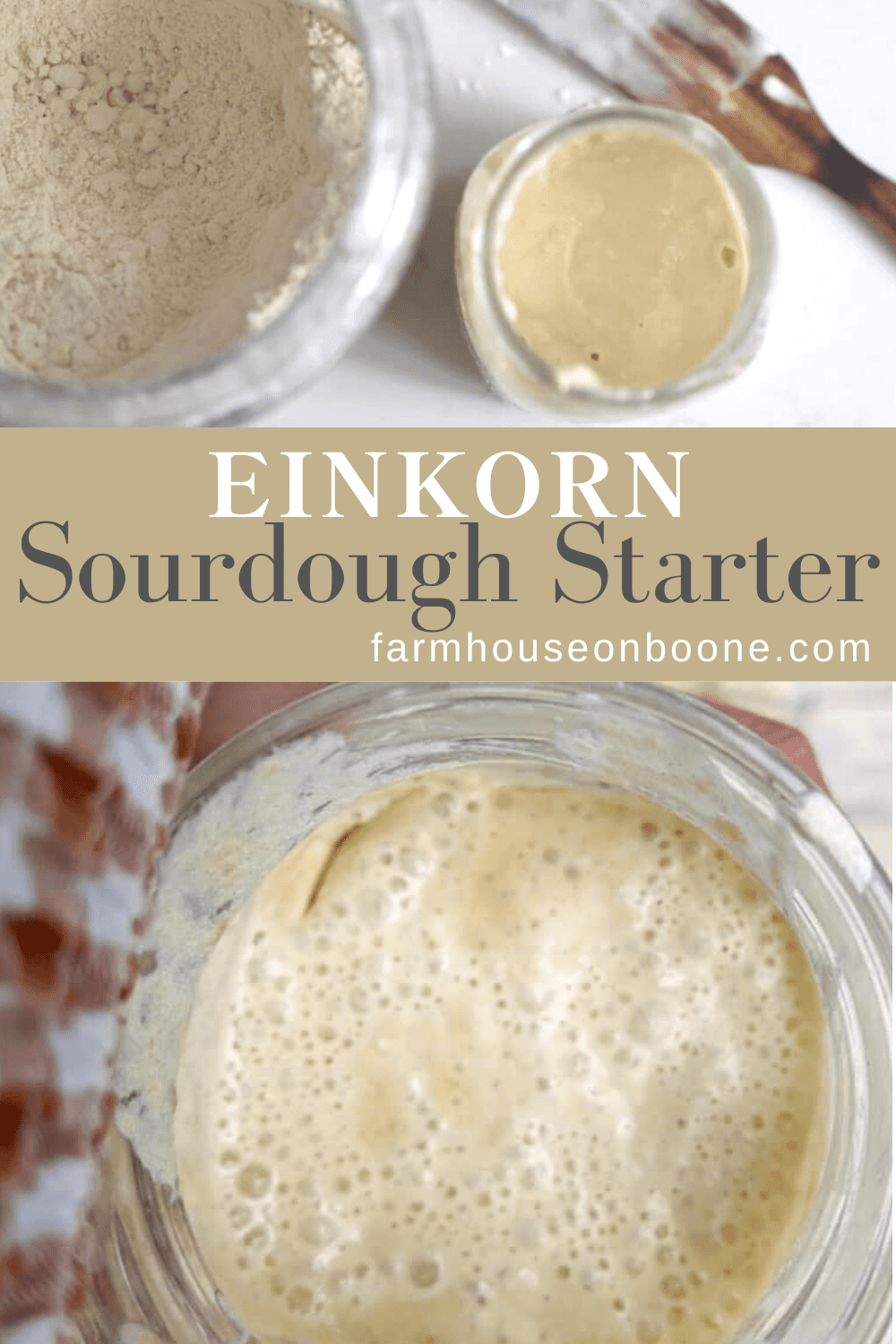 Einkorn Sourdough Starter Farmhouse on Boone