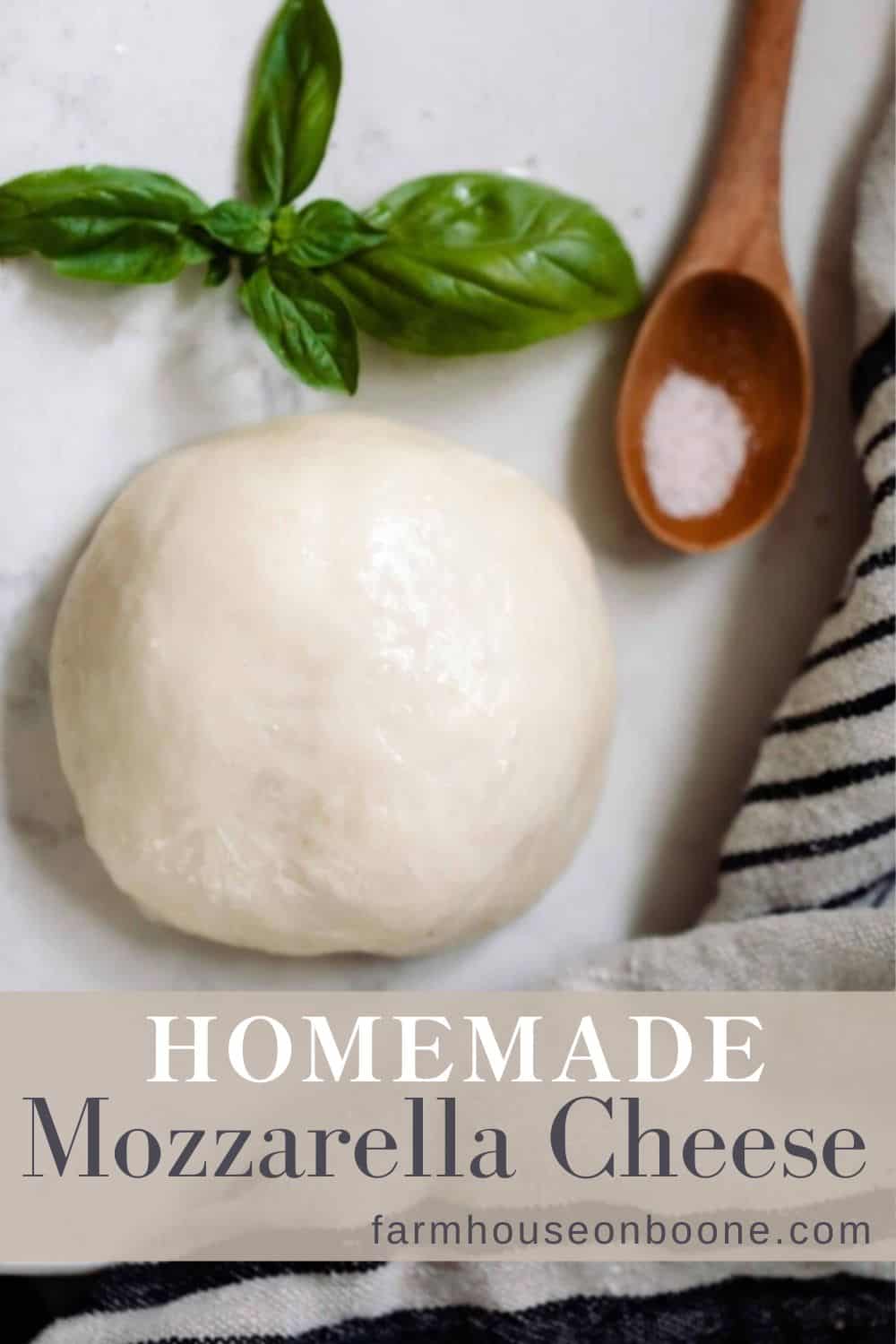 Homemade Mozzarella Cheese Farmhouse on Boone