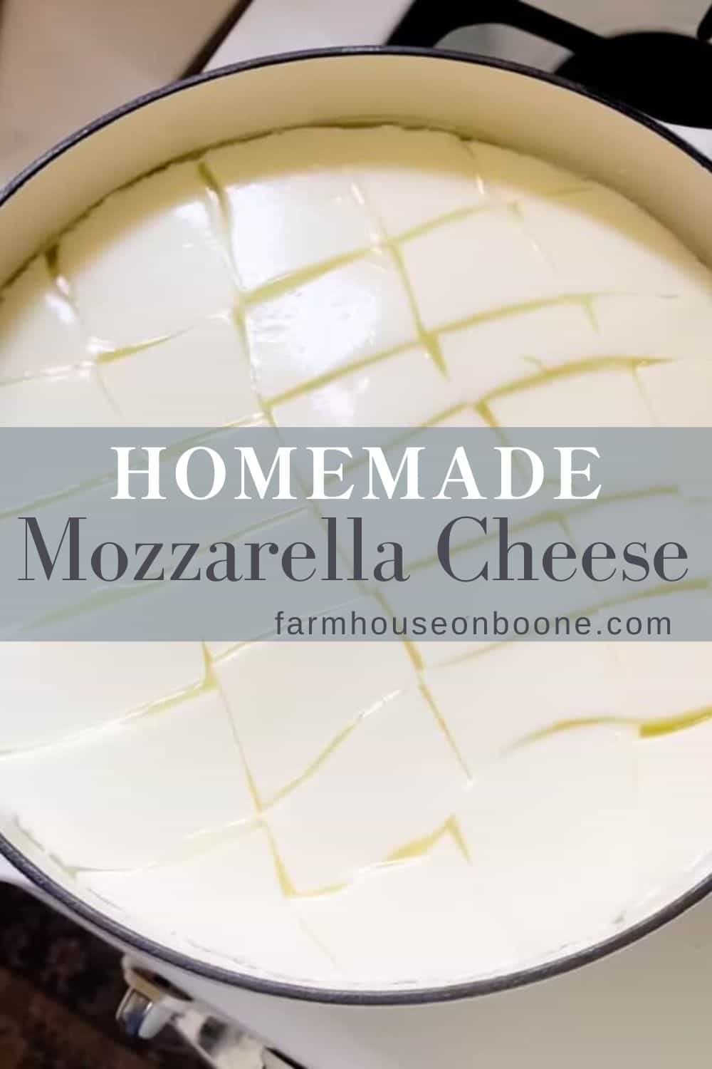 Homemade Mozzarella Cheese Farmhouse on Boone