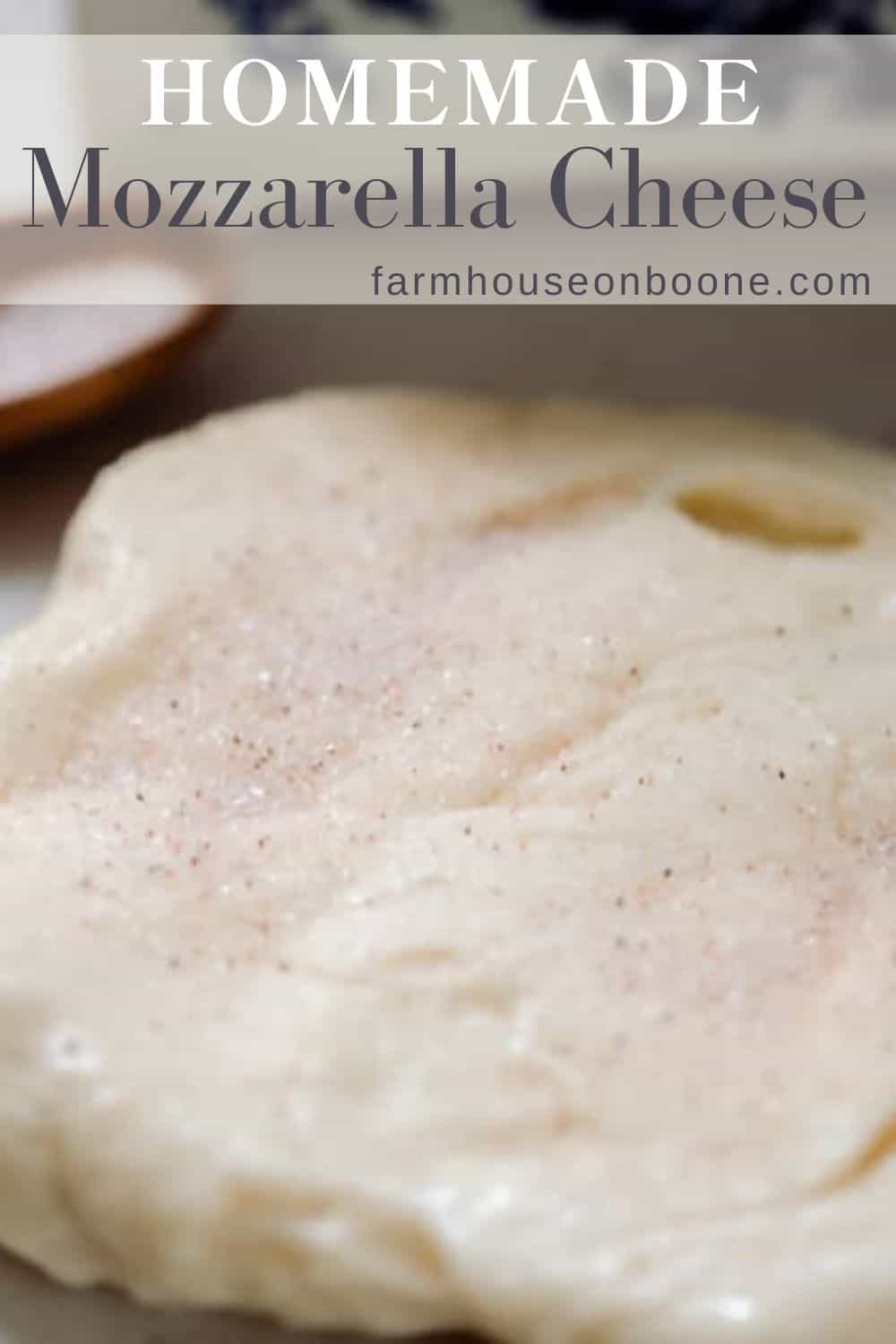 Homemade Mozzarella Cheese Farmhouse on Boone