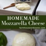 Homemade Grass Fed Raw Milk Mozzarella – Eat Up! Kitchen