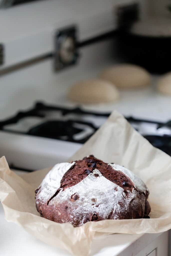 RECIPE  Pumpkin and Chocolate Sourdough Loaf baked in Lodge Cast Iron Loaf  Pan — Artisan Bryan