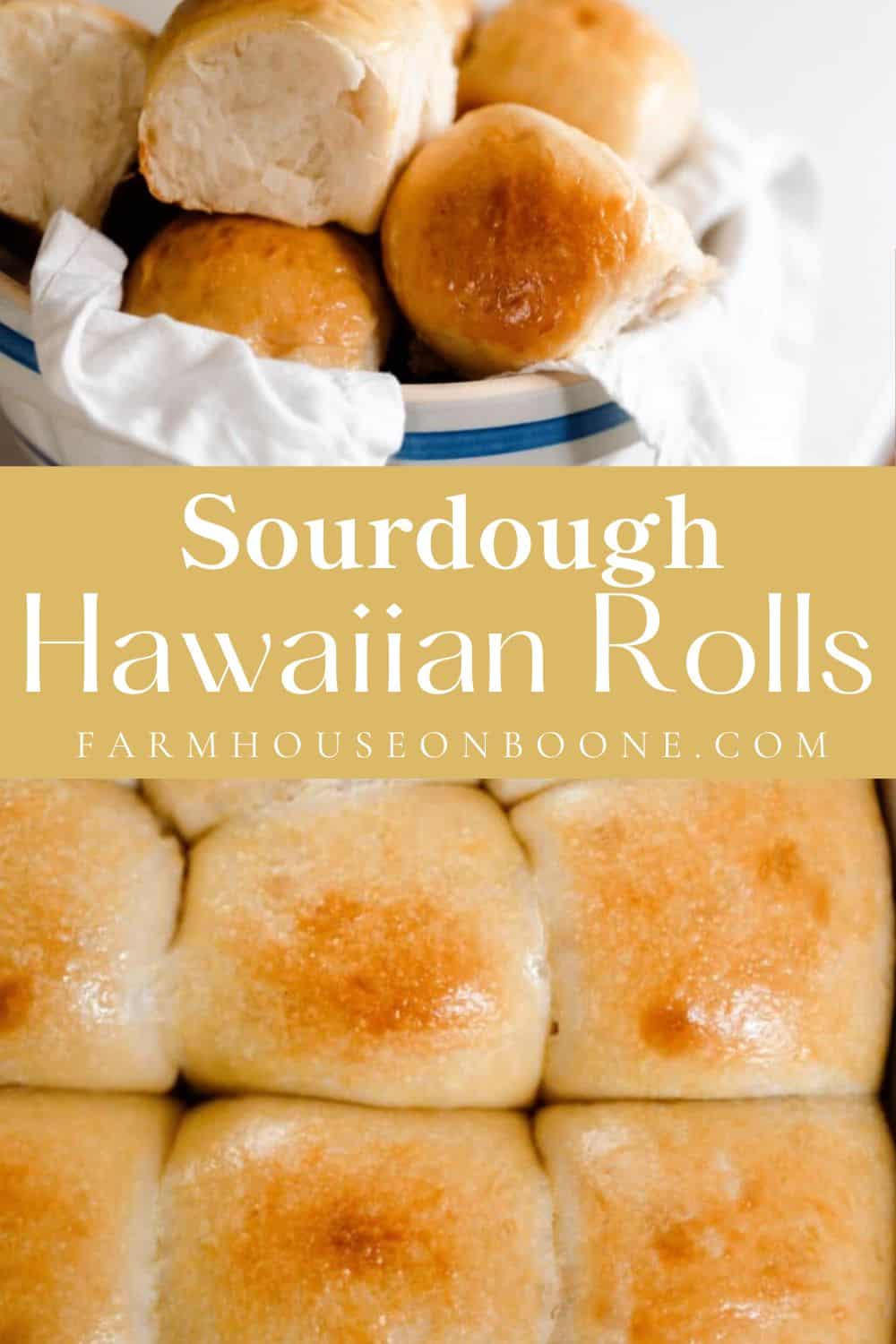 Sourdough Hawaiian Rolls Farmhouse on Boone