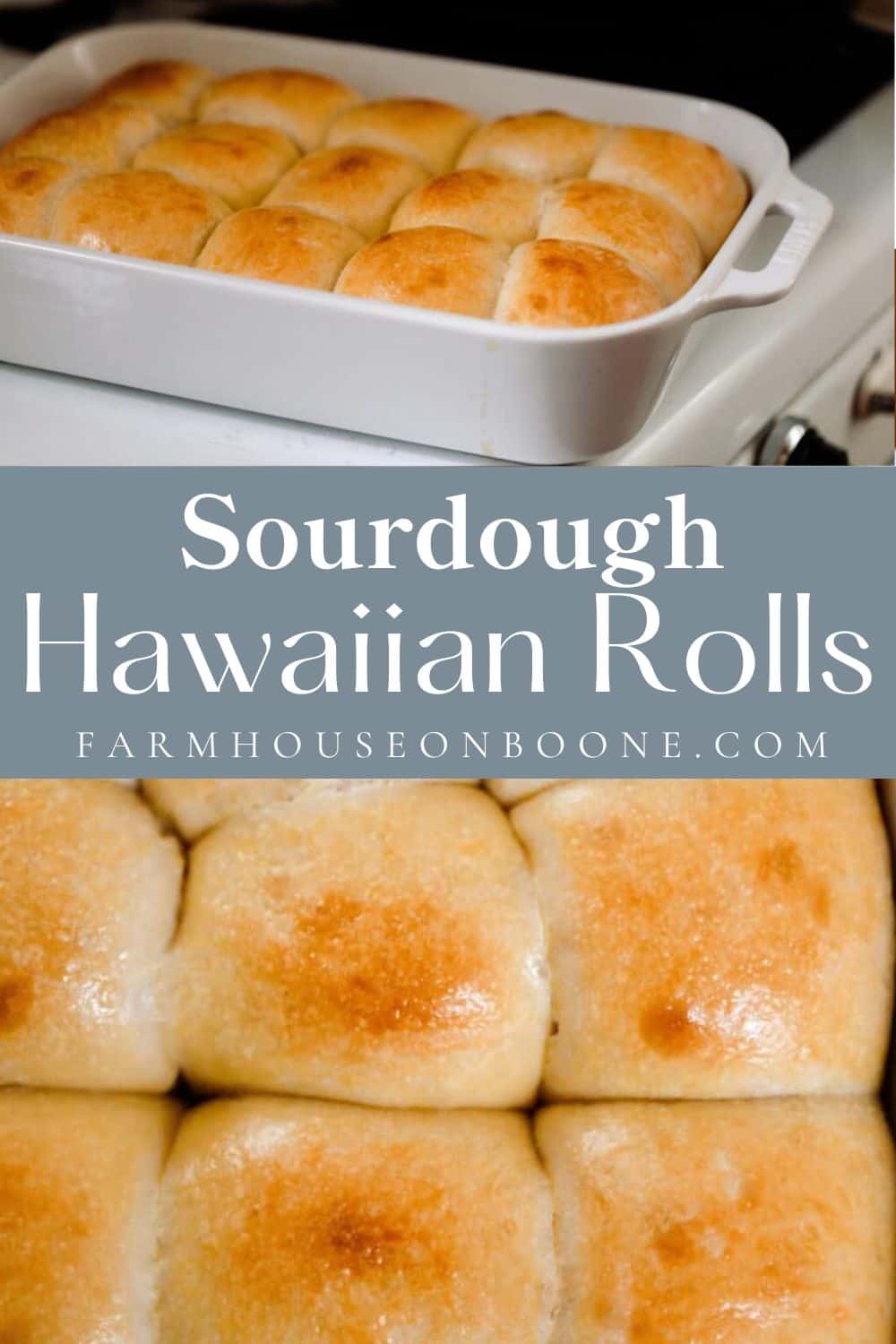 Sourdough Hawaiian Rolls Farmhouse on Boone