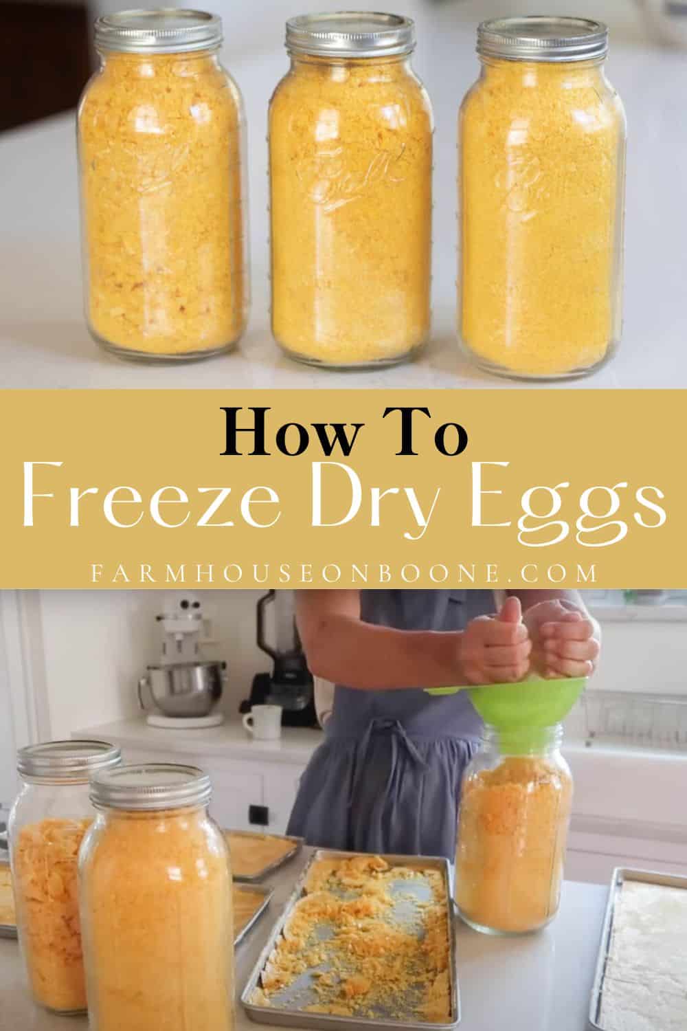 How To Freeze Dry Eggs Farmhouse on Boone