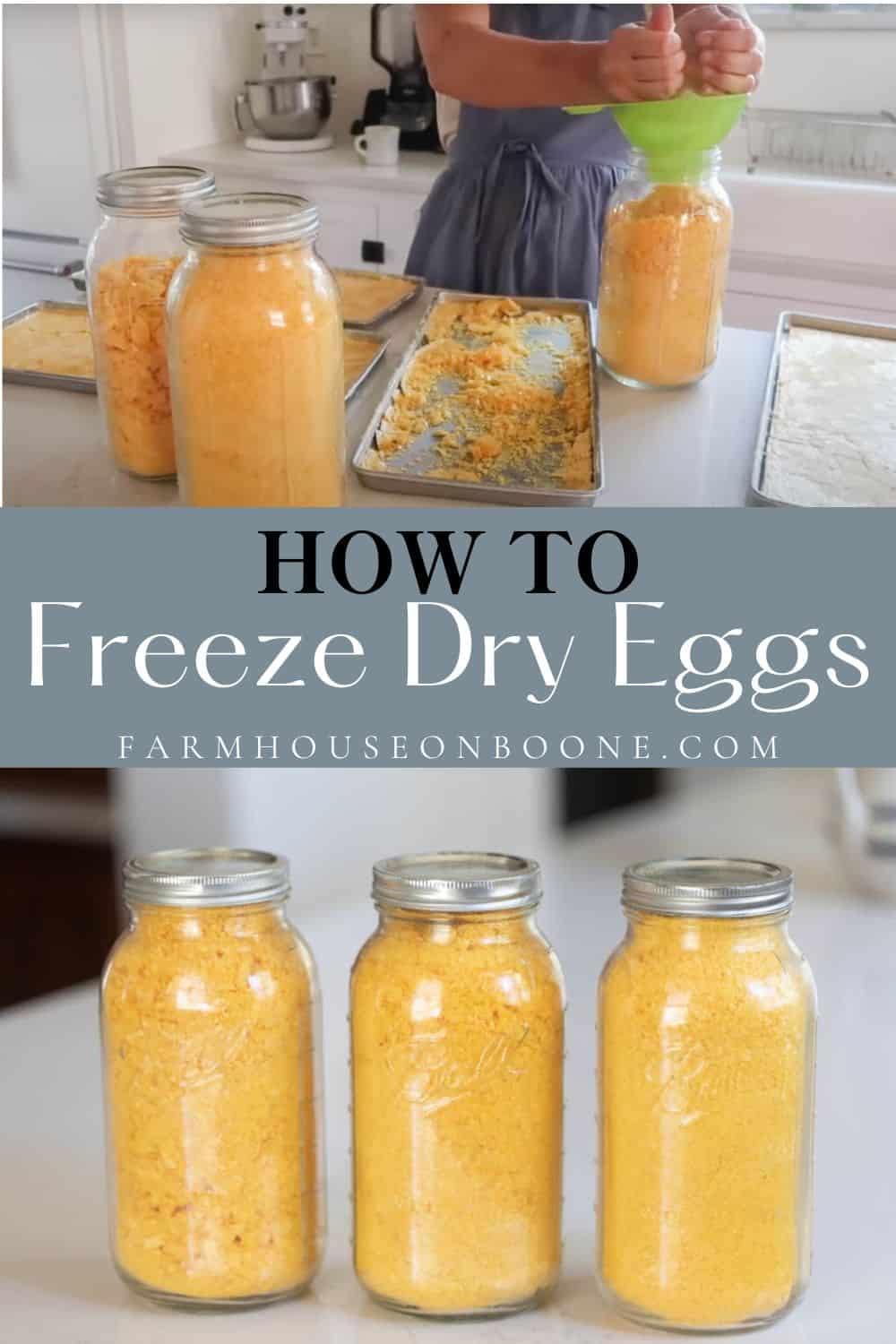 How To Freeze Dry Eggs Farmhouse on Boone
