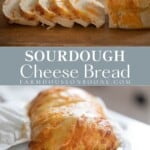 Sourdough Cheese Bread - Farmhouse on Boone