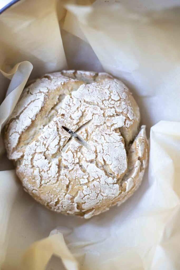 the top of gluten free sourdough bread in a parchment lined dutch oven