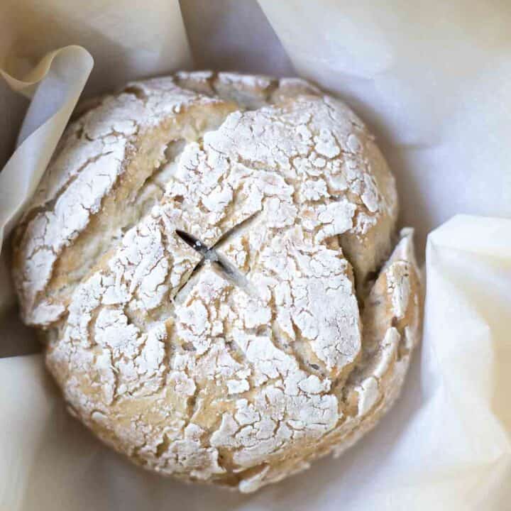 the top of gluten free sourdough bread in a parchment lined dutch oven