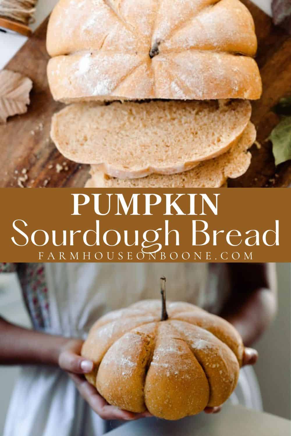 Pumpkin sourdough bread farmhouse on boone