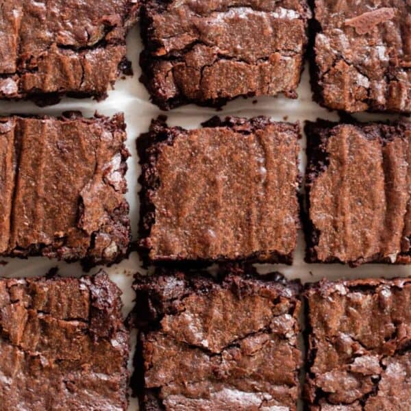 Sourdough Brownies cut into squares.