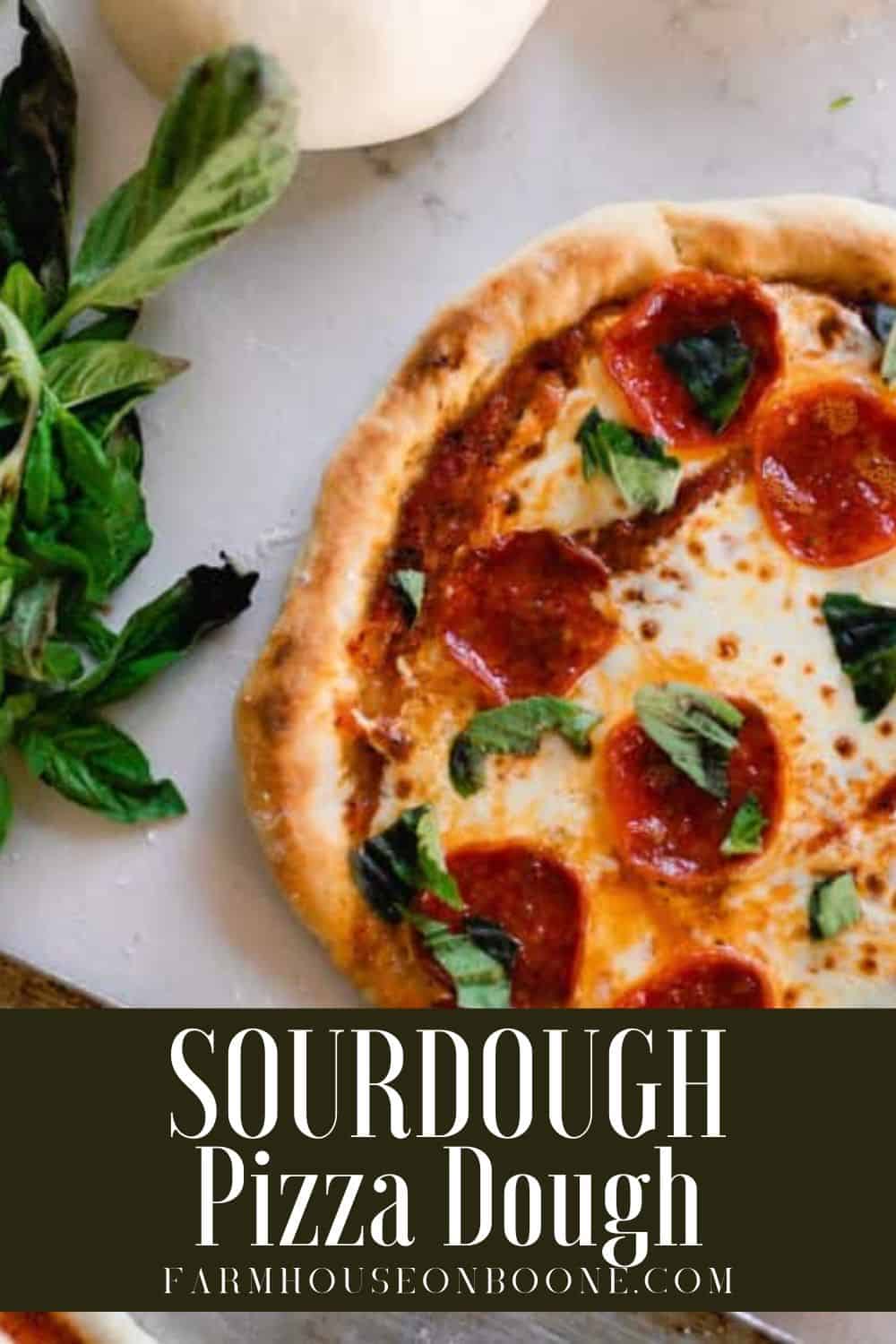 Easy homemade sourdough pizza dough recipe farmhouse on boone