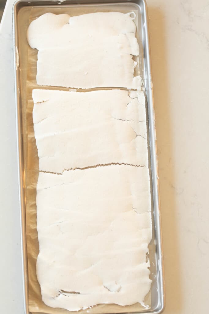 freeze dried sourdough starter in the freeze dryer sheets