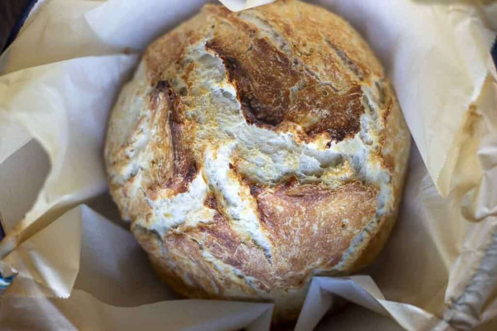 overhead photo of crusty sourdough discard bread in a parchment line dutch oven