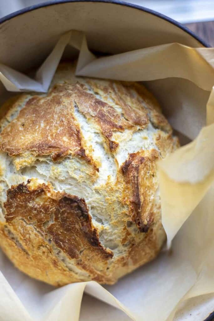 a loaf of sourdough discard bread in a parchment lined dutch oven