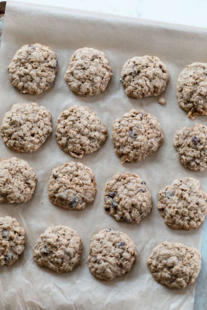 overhead photo of sourdough oatmeal cookies on a parchment lined baking sheet