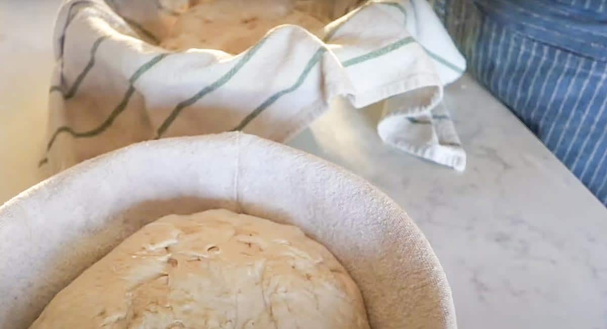 two loaves of sourdough rye bread dough boules in banneton baskets.