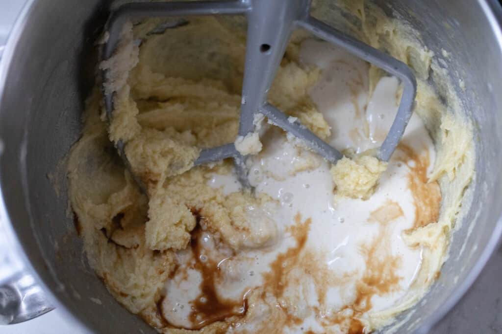 butter and sugar whipped together and topped with vanilla and sourdough starter in a stand mixer bowl with a paddle attachment 