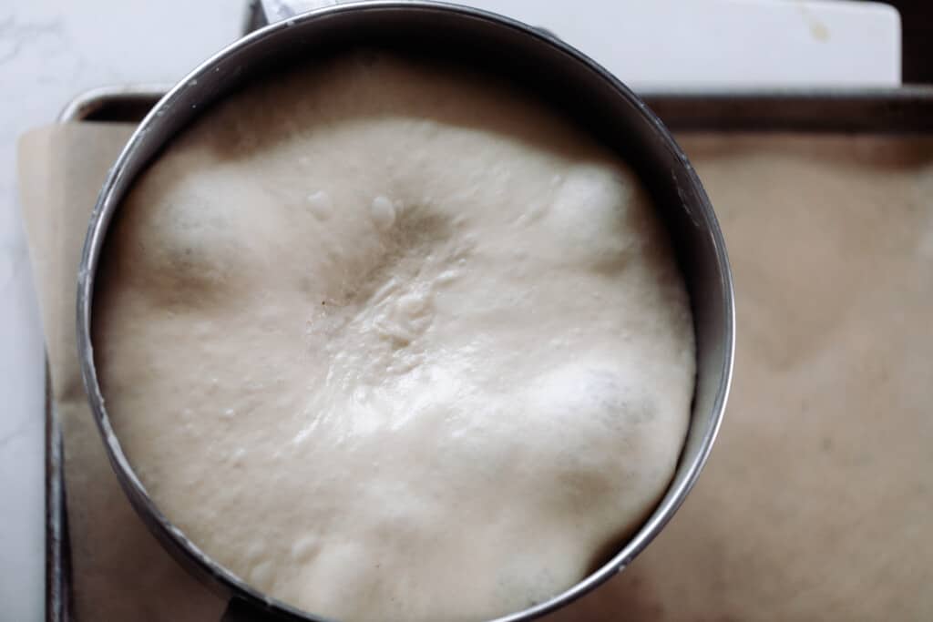 dough that has risen in a metal bowl