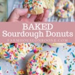 Sourdough Donuts With Vanilla Glaze - Farmhouse on Boone