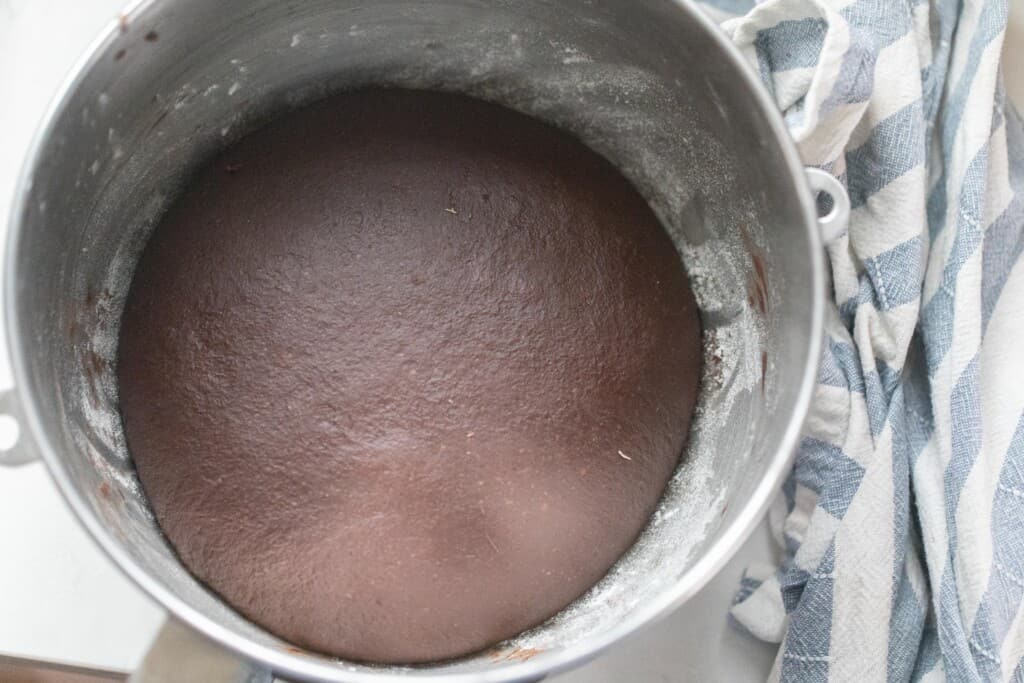 chocolate dough rising in a stainless steel bowl
