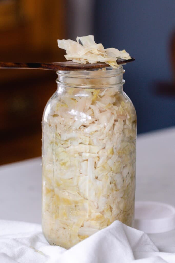 Half gallon mason jar full of homemade sauerkraut with a wooden spoon with a serving of sauerkraut resting on the top of the jar. The jar its on a white countertop with a white towel surrounding the jar.