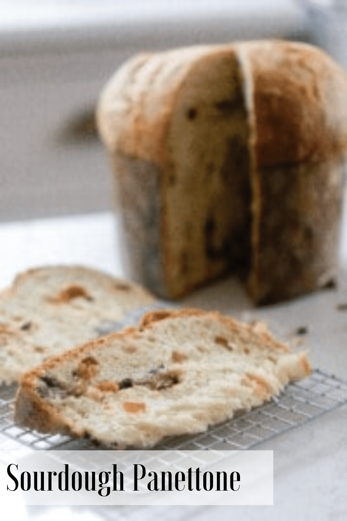 Sourdough Panettone Recipe - Farmhouse on Boone