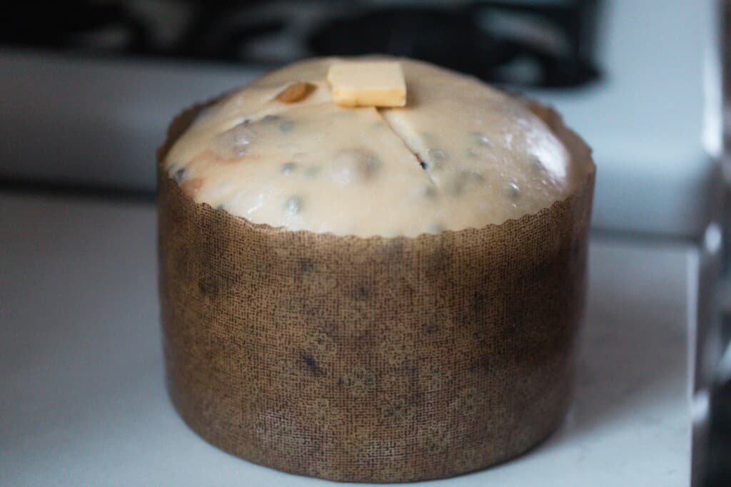sourdough panettone in a paper mold after it has risen with a pat of butter on top
