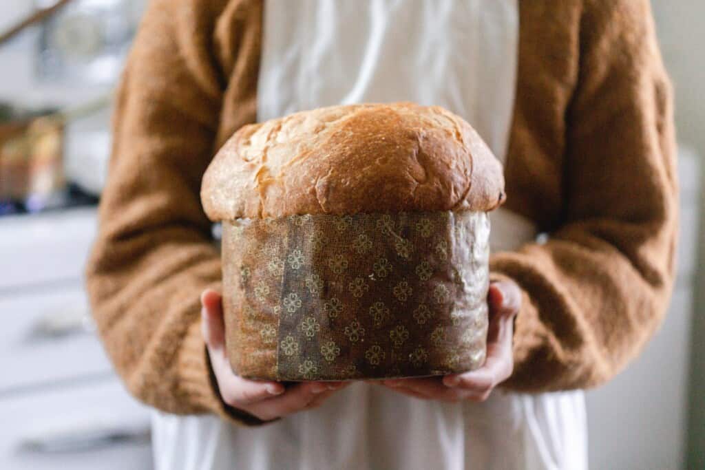 Someone in an orange sweater and white apron holding a baked sourdough panettone