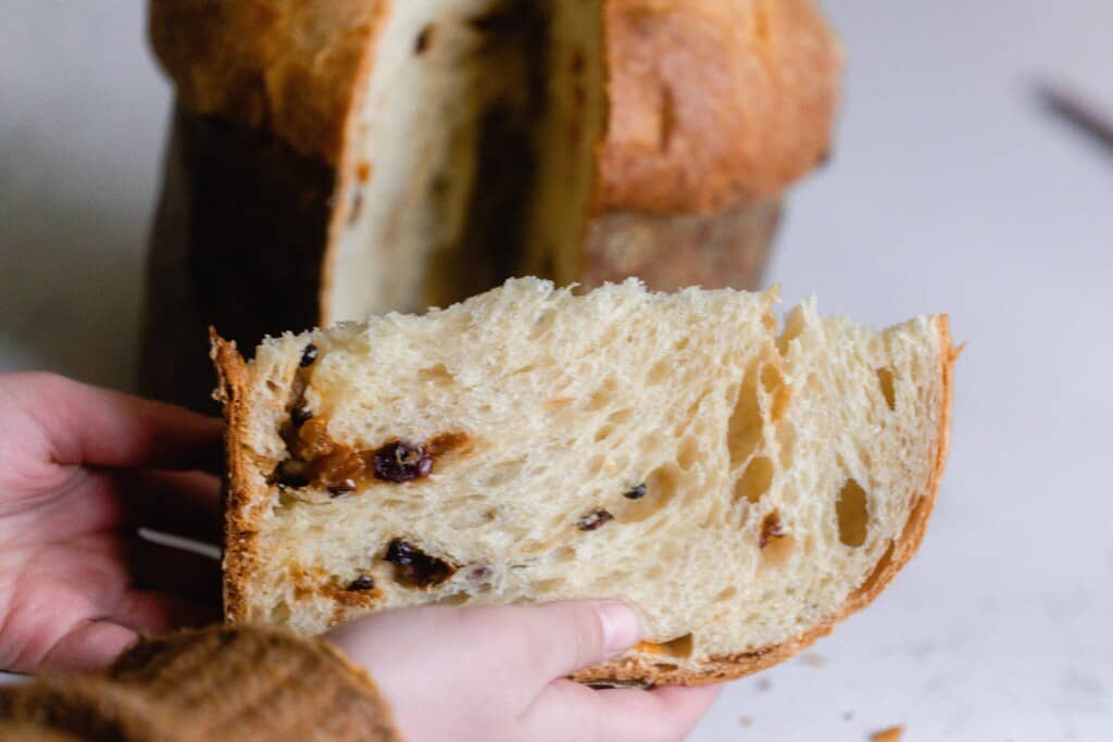 holding a slice of sourdough panettone with the loaf in the background