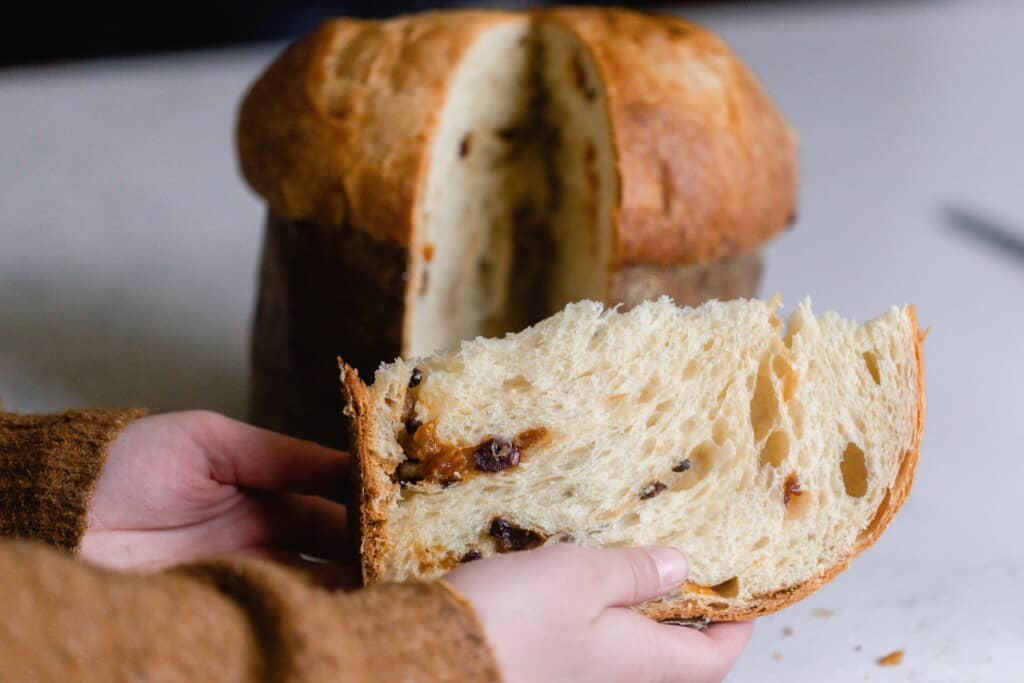 two hands holding a slice of sourdough panettone bread with the full loaf in the background