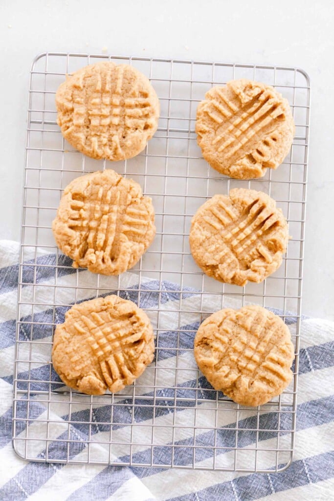 six sourdough peanut butter cookies on a wire rack on a white countertop with a blue and white tea towel