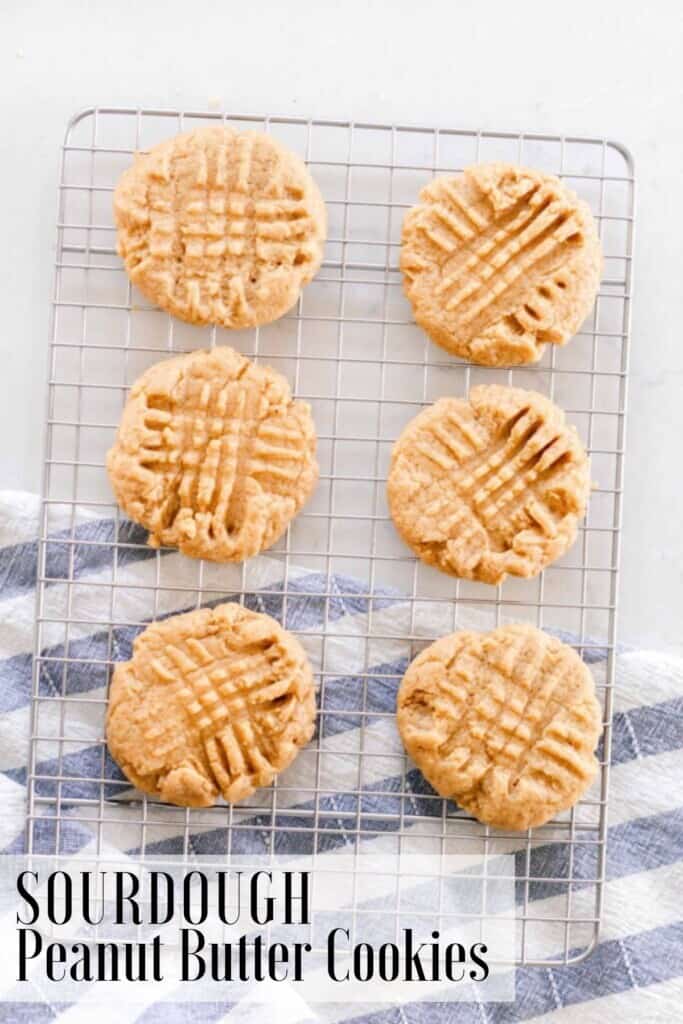 six sourdough peanut butter cookies on a wire rack on a white countertop with a blue and white tea towel