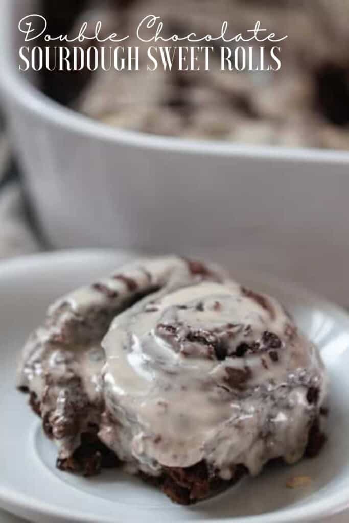 close up picture of a double chocolate sourdough sweet roll with vanilla icing on a white plate with a baking dish in the background