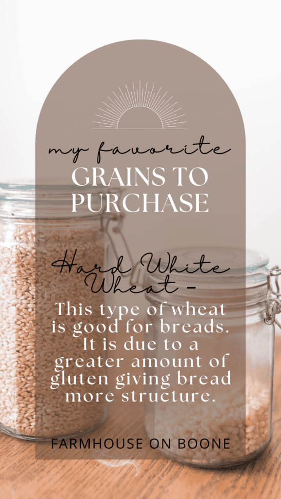 Whole Grains to Start With When You Want to Make Your Own Flour