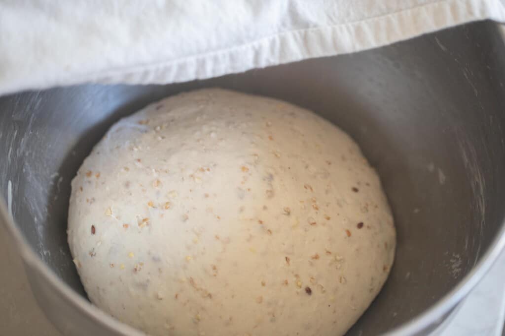 dough fermenting in a stainless steel bowl