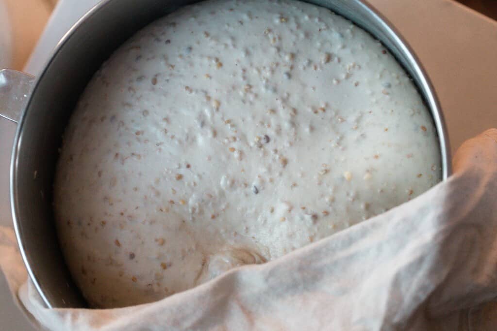 multigrain sourdough bread dough doubled in size in a stainless bowl