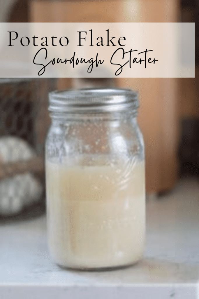 Sourdough Starter Recipe