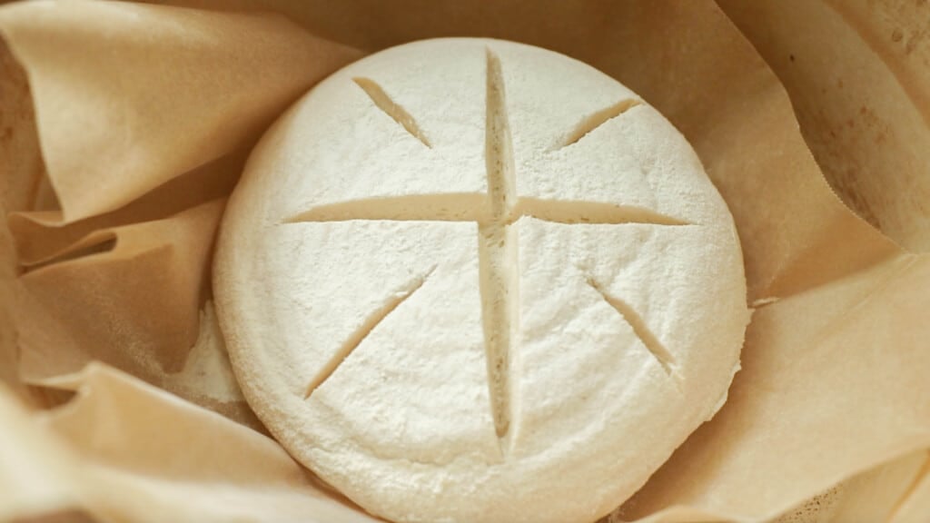 sourdough boule with a cross and dash patter in a parchment lined dutch oven 