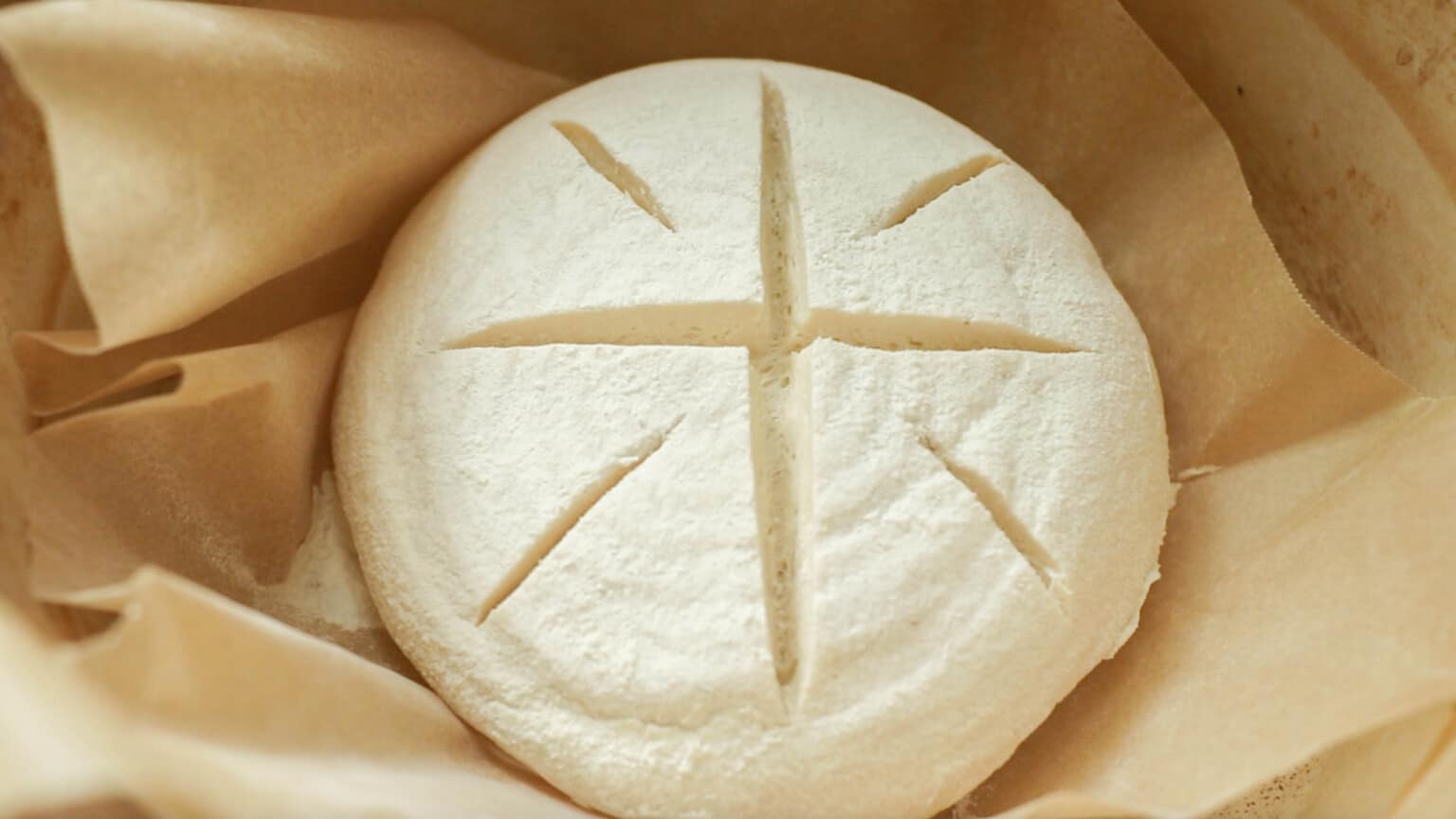 sourdough boule with a cross and dash patter in a parchment lined dutch oven