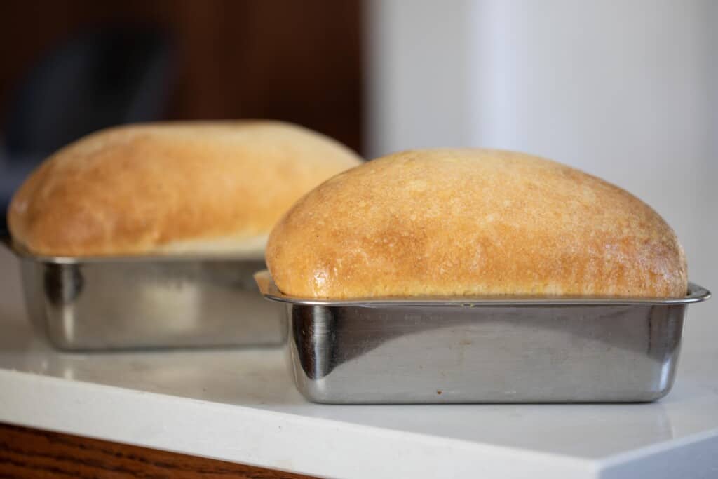Two golden brown loaves of sourdough bread using a potato flake sourdough starter. Both loaves are in tin loaf pans on a white counter top