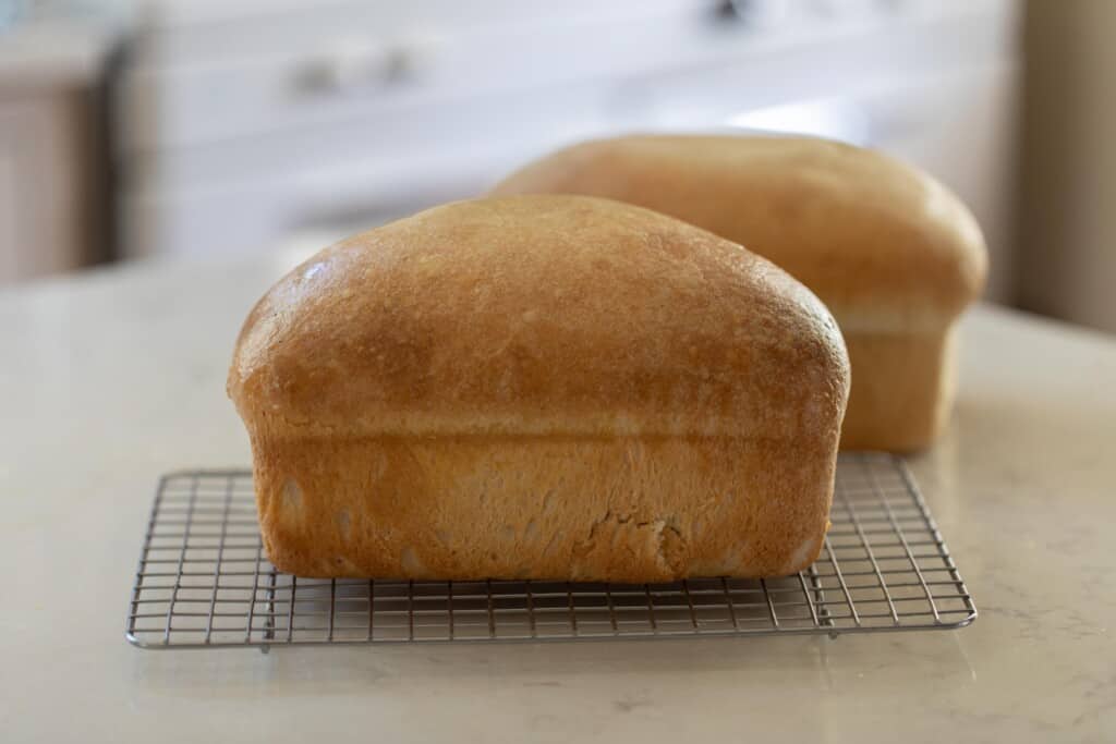 Tow loaves of potato flake sourdough starter sandwich bread cooling on a black wire cooling rack. 